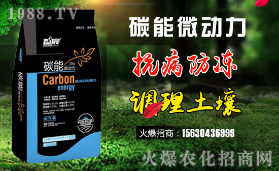     ������r(n��ng)�I(y��)��ףȫ���������w�������f��������