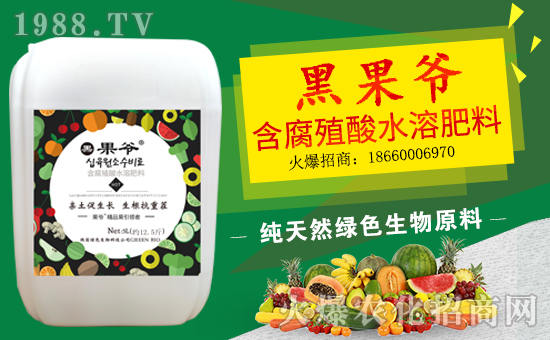 ����Ƚ��(gu��)�H��ף������w�����������d�����H���Ҹ���