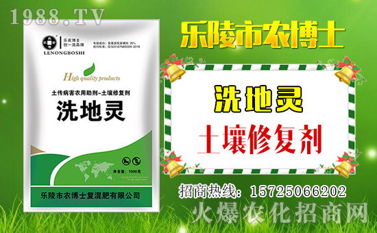 【農(nóng)博士】祝大家2019年天天好運到,日日福星照!