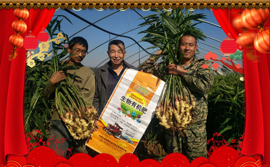     �C(j��)�����ں������������������ں����м������I(y��)���ں����ЉѴ����������ں������v�w��ֵ���´��ѹ�(ji��)���R֮�H����(n��i)�ɹŽ��¡�r(n��ng)�I(y��)�Ƽ��l(f��)չ���޹�ףԸ��λ��(j��ng)�N�����ѣ����w������ؔԴ�V�M(j��n)���f����혣�