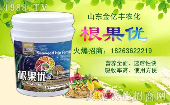 【金億豐】祝全國朋友,新年快樂,豬年大吉,身體健康,財源廣進