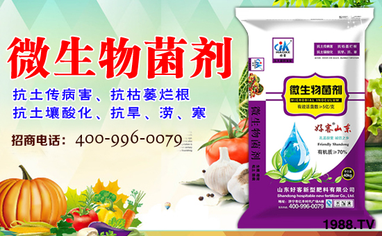 【山東好客】祝新老朋友身體健康,萬(wàn)事如意!