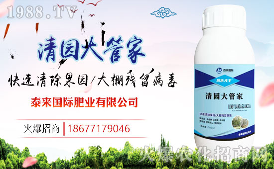 ��̩��(l��i)��(gu��)�H��ף������µ�һ����ؔ(c��i)�\(y��n)�L�L�������d¡��