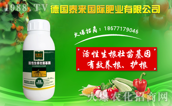 ��̩��(l��i)��(gu��)�H��ף������µ�һ����ؔ(c��i)�\(y��n)�L�L�������d����