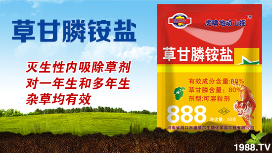 ��ɽ�|�ÿ͡�ף������µ�һ�������w�������f��������