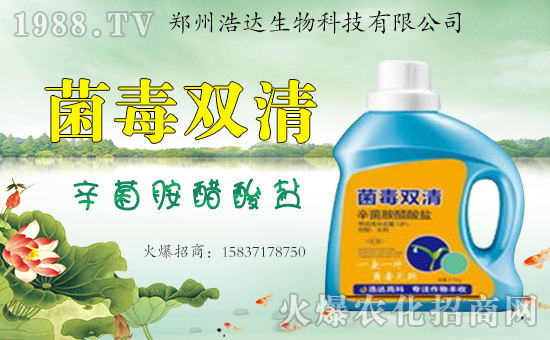 �����_(d��)�����ף������������옷�����i���������