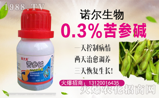 ���Z�����ȫ�w�T����ףȫ��(gu��)��(j��ng)�N(xi��o)�����w�������i�꼪�飡