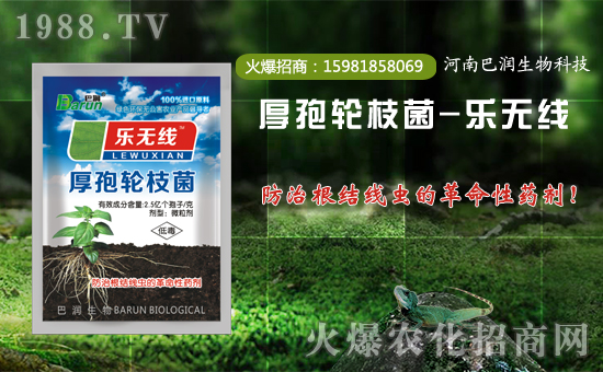 ���͝����ף������µ�һ�������w���������������