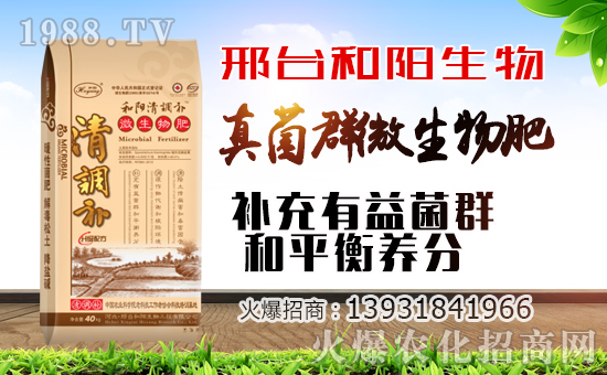 ��������ף������µ�һ�������w�������f��������