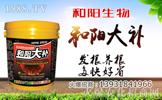 ��������ף������µ�һ�������w�������f��������