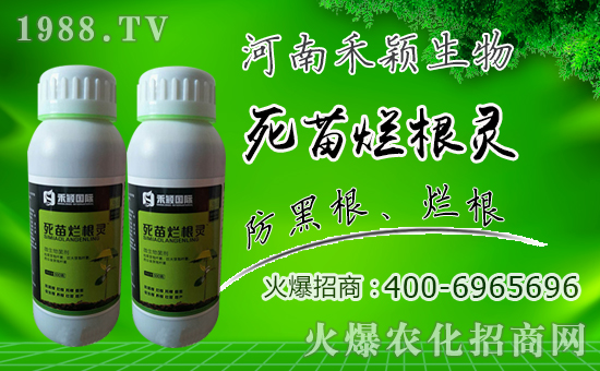 ���̷f���ף������µ�һ���������d¡���f(w��n)��������