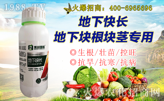 ���̷f���ף������µ�һ���������d¡���f(w��n)��������