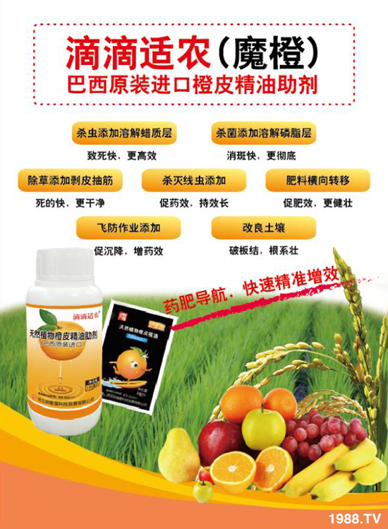 ���ӱ������á���ף��������������i���д��\��