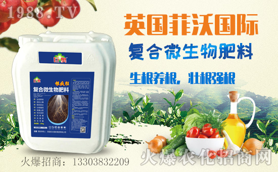     ��Ӣ��(gu��)���և�(gu��)�H��ף����µ�һ������¶����Ц�ݶ����