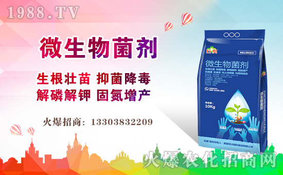 ��Ӣ��(gu��)���և�(gu��)�H��ף����µ�һ������¶�࣡Ц�ݶ����