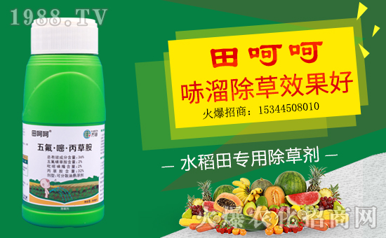 【德國萬容】恭祝新老客戶豬年行大運,財源滾滾來!