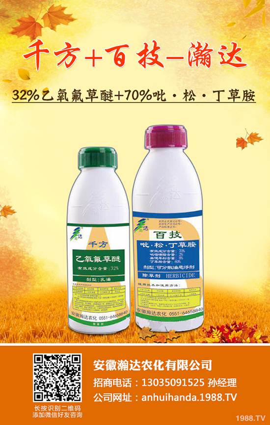     ��������_(d��)�r(n��ng)������ף������w�������H���Ҹ����i��󼪣�