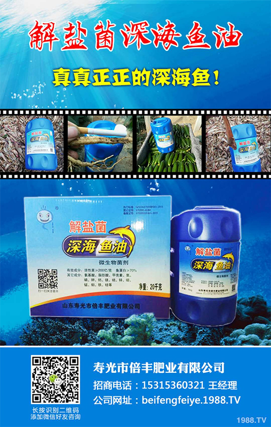 ���۹ⱶ�S�ʘI(y��)��ף��������µ�һ�����_(k��i)������f(w��n)��������