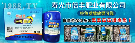 ���۹ⱶ�S�ʘI(y��)��ף��������µ�һ�����_(k��i)������f(w��n)��������