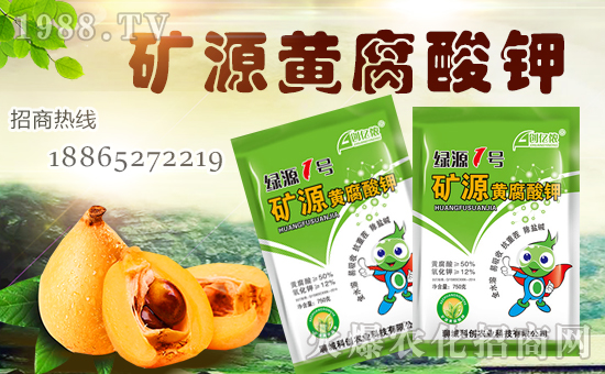 ���Ƅ�(chu��ng)�r(n��ng)�I(y��)��ȫ�w�T����ףȫ����(j��ng)�N�����w�������i���д��\(y��n)��