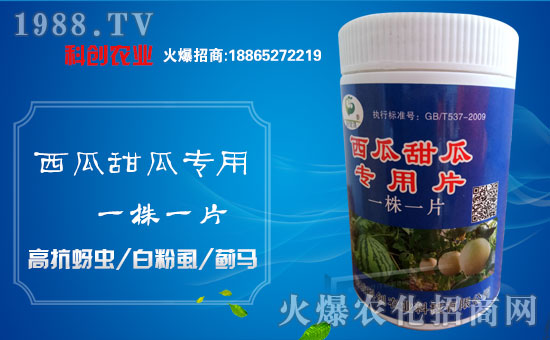 ���Ƅ�(chu��ng)�r(n��ng)�I(y��)��ȫ�w�T����ףȫ����(j��ng)�N�����w�������i���д��\(y��n)��