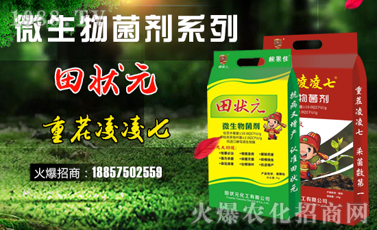 �����Ԫ������ףȫ����(j��ng)�N���i������f�����⣡