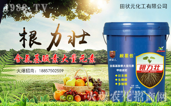 �����Ԫ������ףȫ����(j��ng)�N���i��󼪣��f��������