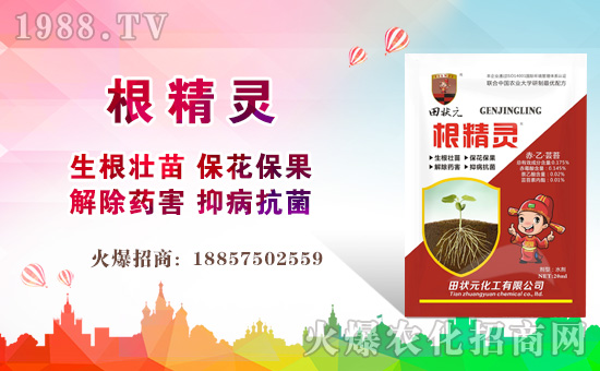 �����Ԫ������ףȫ����(j��ng)�N���i������f��������