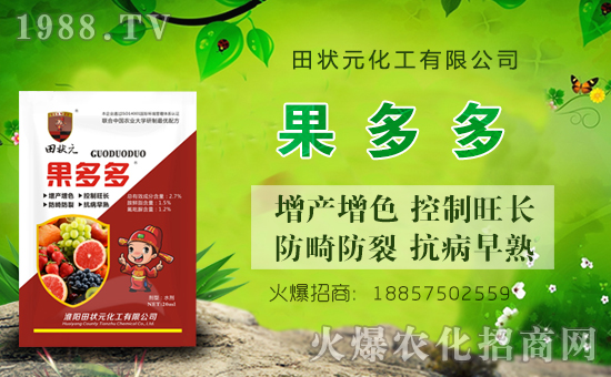 �����Ԫ������ףȫ����(j��ng)�N���i������f��������