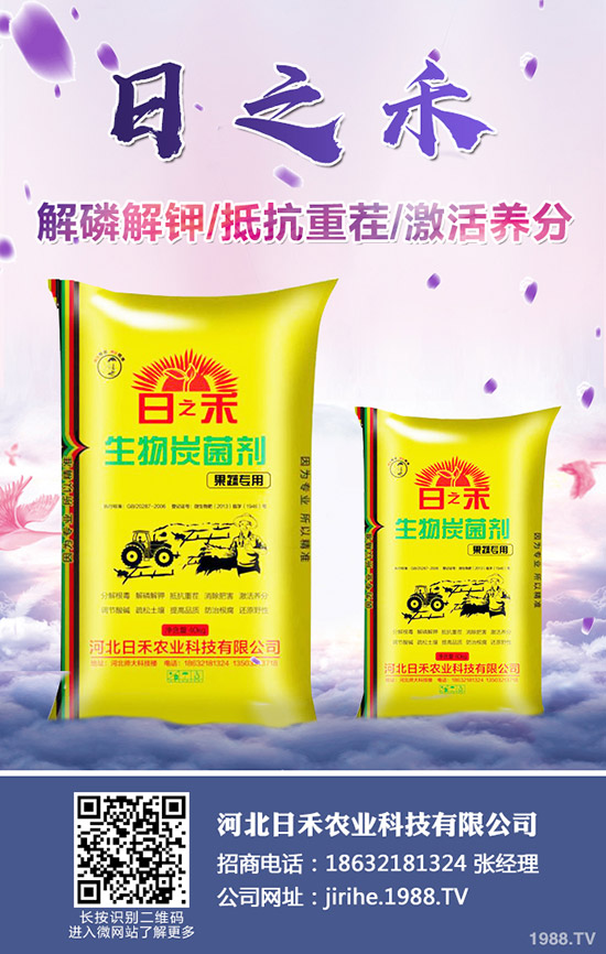 2019小麥什么時候種植，小麥種植注意要點！