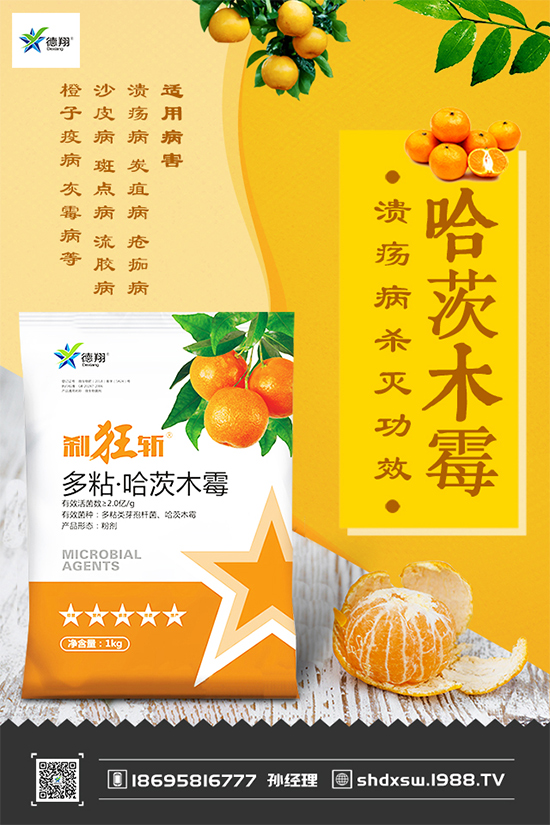 甘藍黑斑病危害這么大,到底該如何防治?快來看看吧!