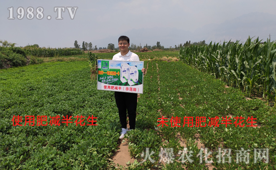 好產(chǎn)品用事實(shí)說(shuō)話,“肥減半”用過(guò)的農(nóng)戶都說(shuō)好!