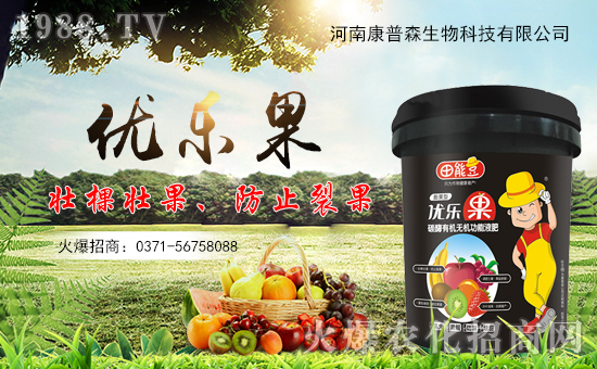 ���Ͽ���ɭ�𱬁�(l��i)�u���ٺ����r(n��ng)�����̾W(w��ng)�_(k��i)��(chu��ng)���x�ͣ�