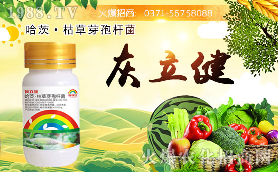 ���Ͽ���ɭ�𱬁�(l��i)�u���ٺ����r(n��ng)�����̾W(w��ng)�_(k��i)��(chu��ng)���x�ͣ�