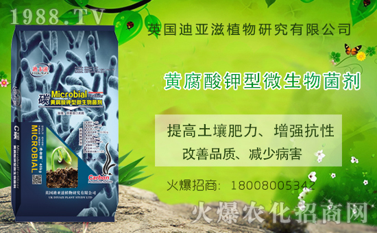 �r(n��ng)���W(w��ng)ϲӭ��������Ӣ��(gu��)�ρ��̔y��1988.TV���_(k��i)�ؾW(w��ng)�j(lu��)������������