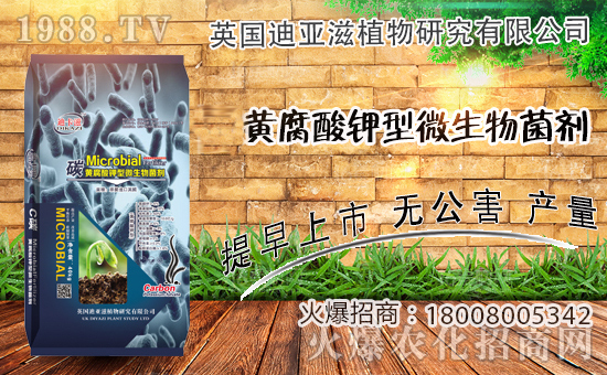 �r(n��ng)���W(w��ng)ϲӭ��������Ӣ��(gu��)�ρ��̔y��1988.TV���_(k��i)�ؾW(w��ng)�j(lu��)������������