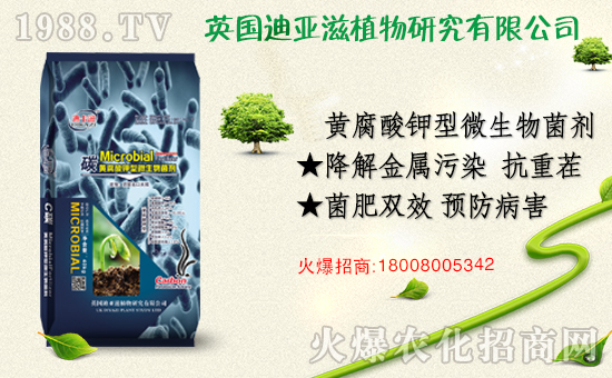 �r(n��ng)���W(w��ng)ϲӭ��������Ӣ��(gu��)�ρ��̔y��1988.TV���_(k��i)�ؾW(w��ng)�j(lu��)������������