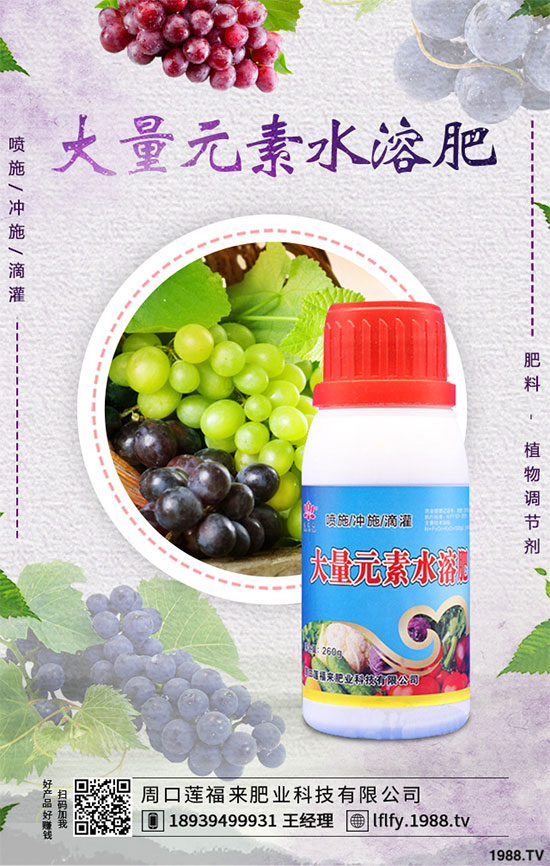 冬小麥播種后出苗不齊是怎么回事？小麥出苗不好預(yù)防措施！