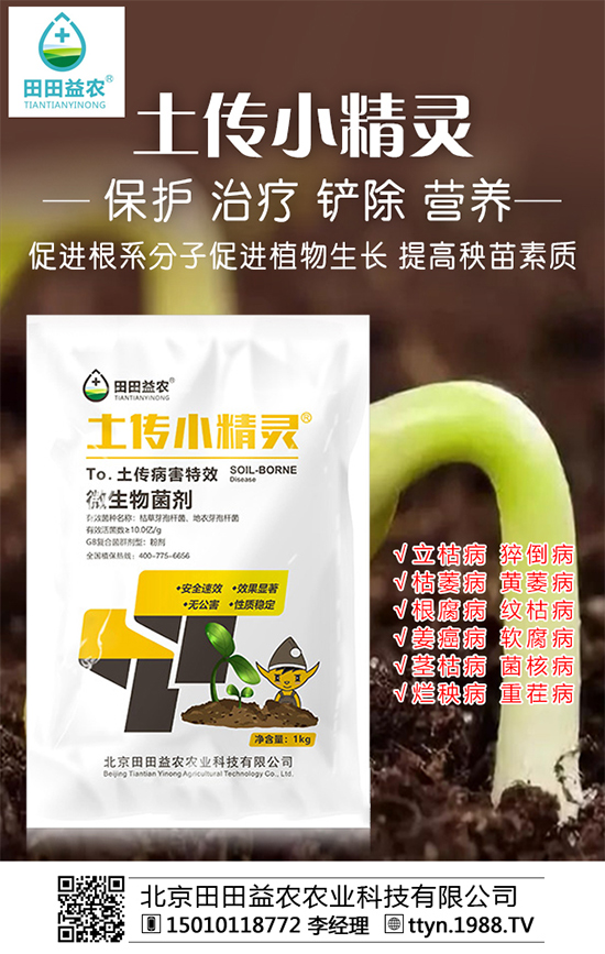 近日復(fù)合肥價格行情分析及后市預(yù)測2019-10-12