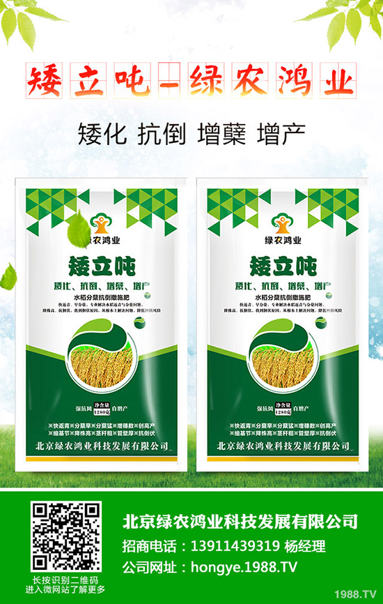 蒜苗的種植方法有哪些，如何才能獲得高產(chǎn)？