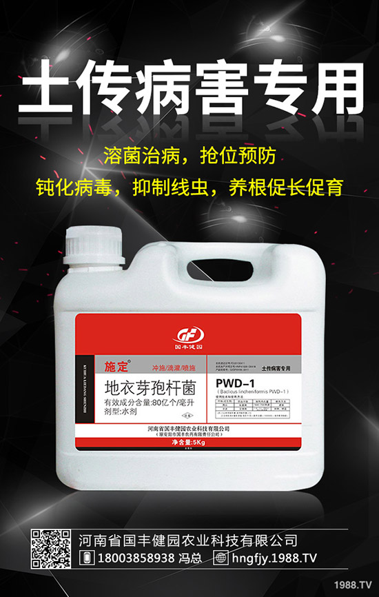 小麥除草劑什么時候打好,小麥打除草劑的時間及注意事項!