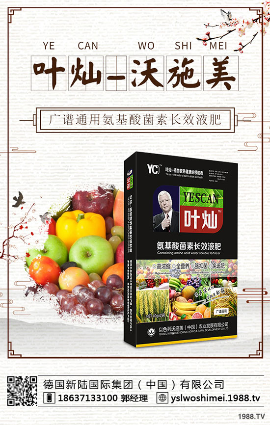 冬小麥為什么出現(xiàn)黃苗，死苗？冬小麥黃苗，死苗防治措施！