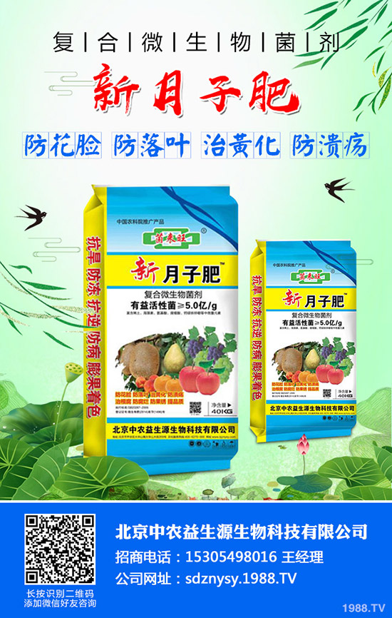 2019年10月中旬最新磷酸一銨市場價格行情走勢綜合分析