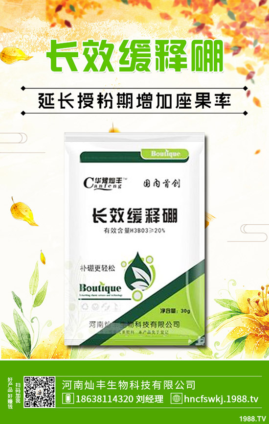 金錢草和銅錢草有什么不同？金錢草和銅錢草的區(qū)別哪些？