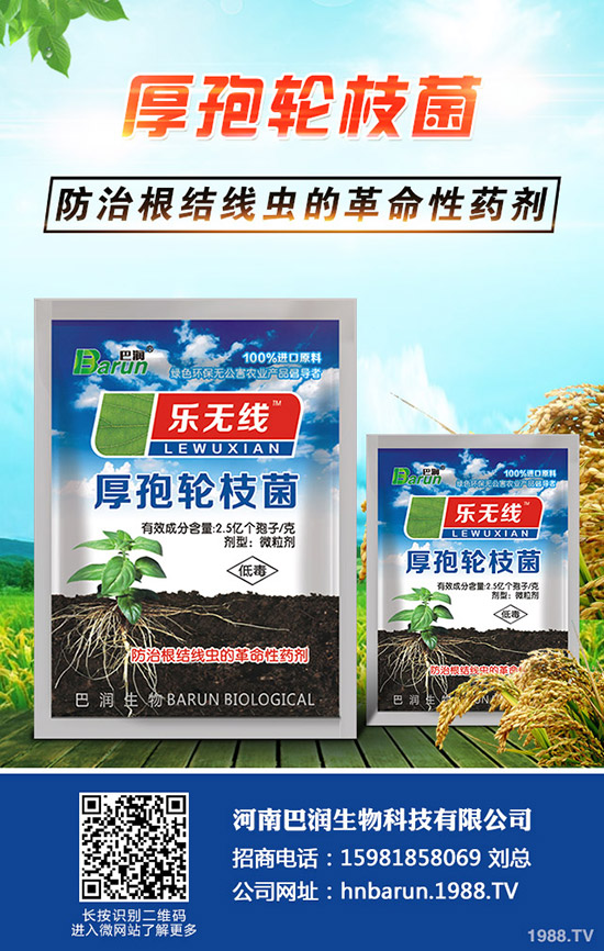 三角梅怎么養(yǎng),三角梅的養(yǎng)殖方法和注意事項(xiàng)!