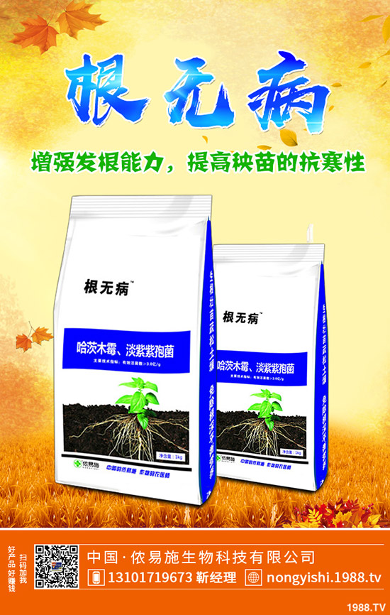 葡萄是熱性還是涼性?與葡萄相克的食物有哪些?