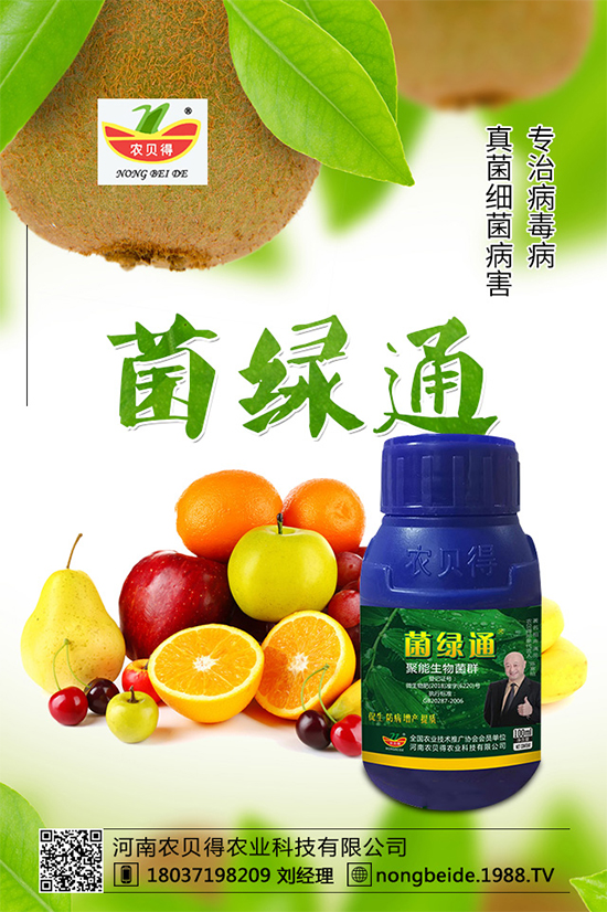 小麥如何正確選種？不知道如何選種的看這里！