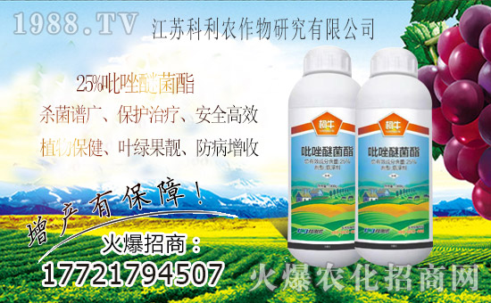 ���r(n��ng)���W(w��ng)ϲӭ�����ѣ��y�ֿ�������ؔ��֮·��