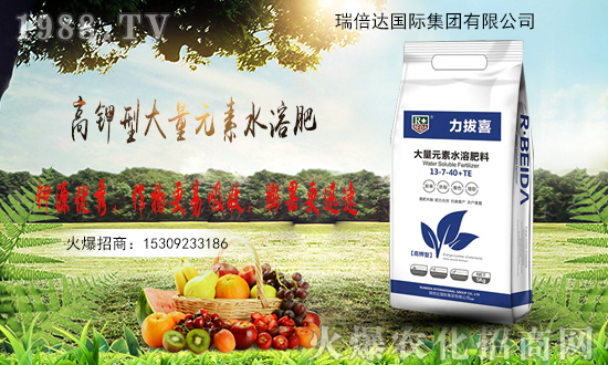 �r(n��ng)���W(w��ng)ӭ�폊(qi��ng)���������_(d��)���H���F(tu��n)�𱬁��u��