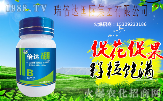 �r(n��ng)���W(w��ng)ӭ�폊(qi��ng)���������_(d��)���H���F(tu��n)�𱬁��u��